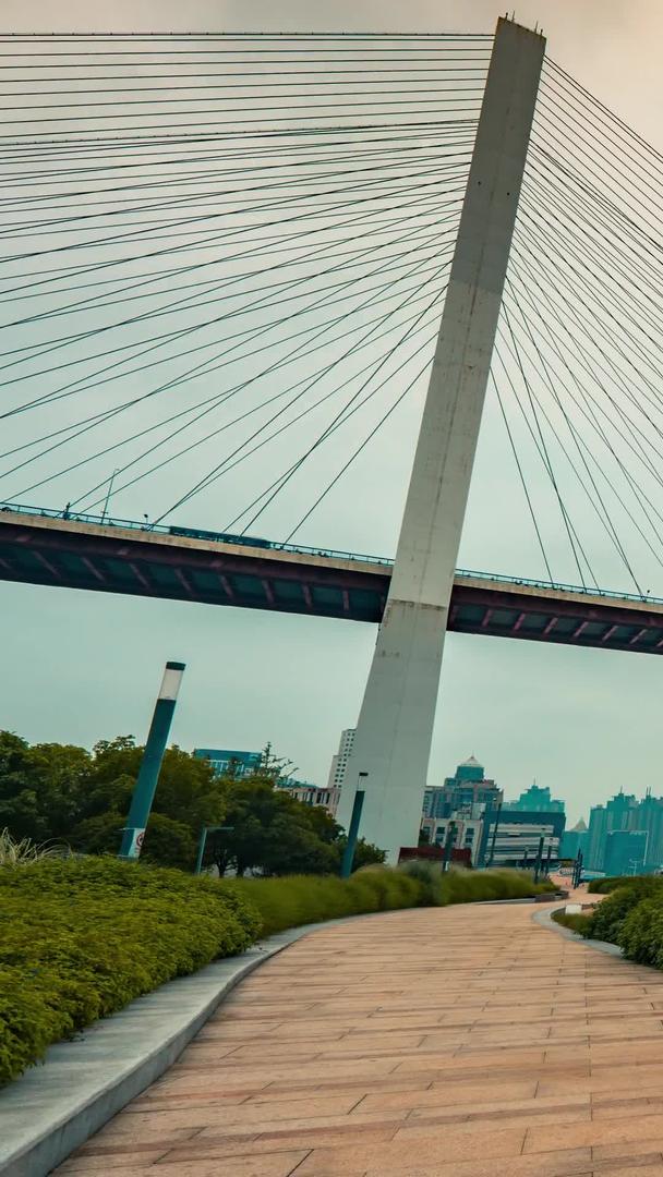 延迟移动的上海南浦大桥视频的预览图