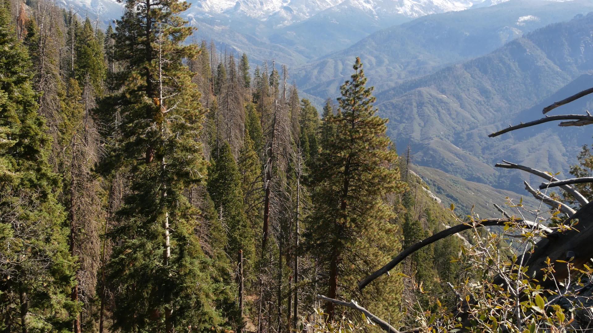 从美国北加州红杉森林国家公园摩洛岩的全景俯瞰来看视频的预览图