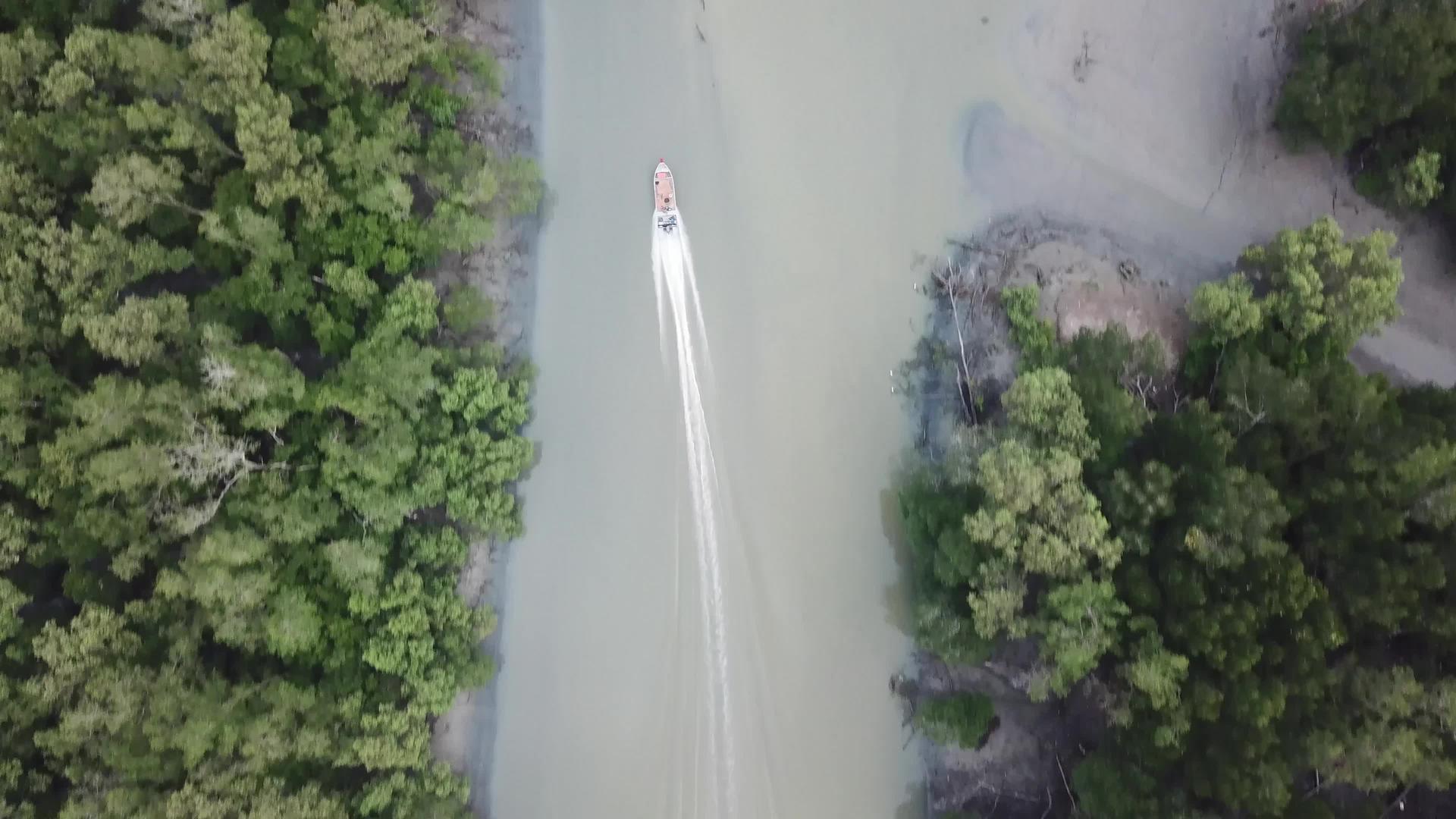 跟踪红树林渔船的空中观察视频的预览图