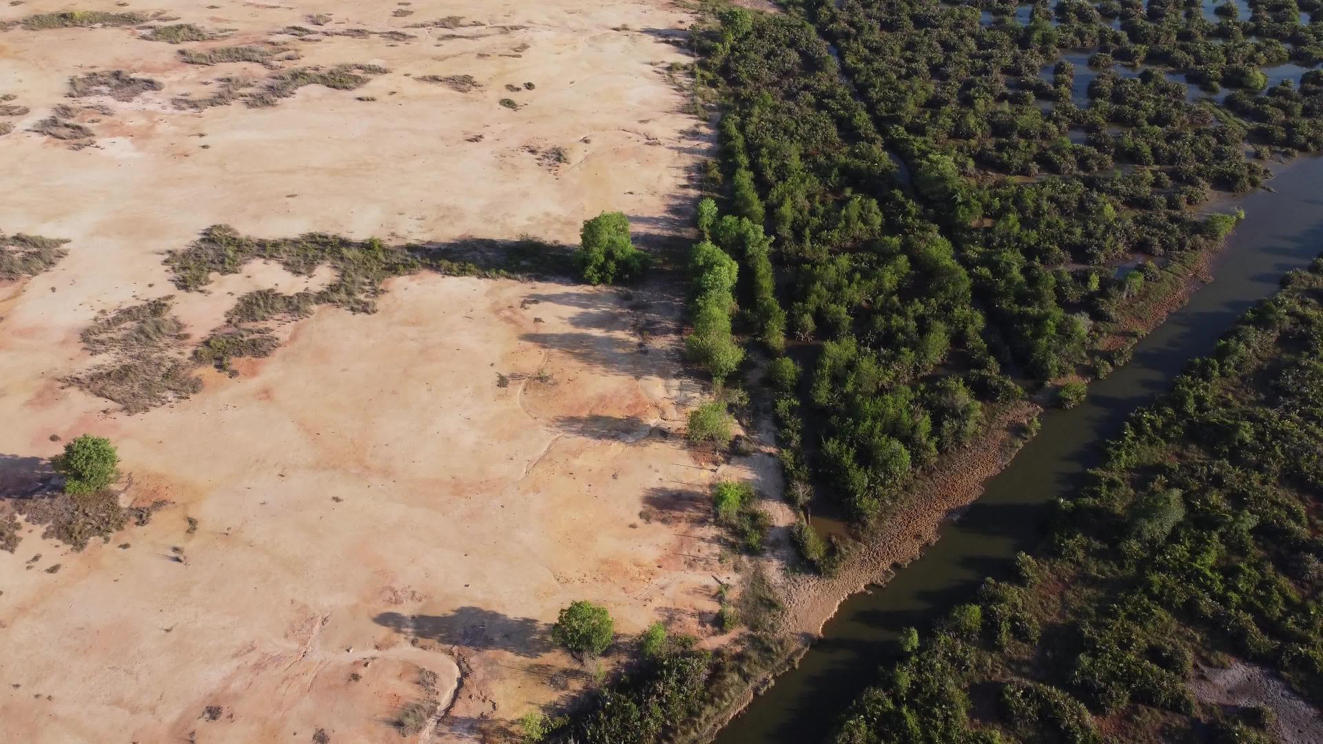 清理红树林沼泽附近的土地视频的预览图