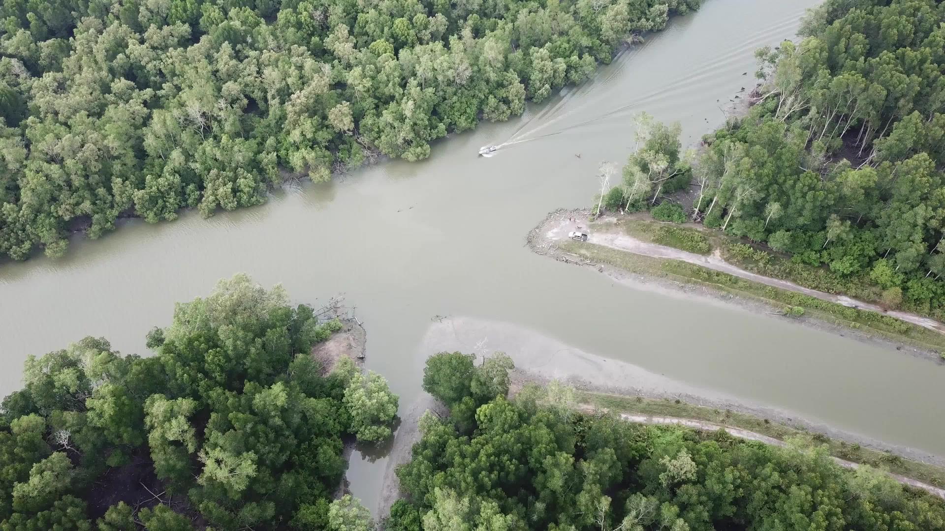 一艘船横渡红树林附近的河流视频的预览图