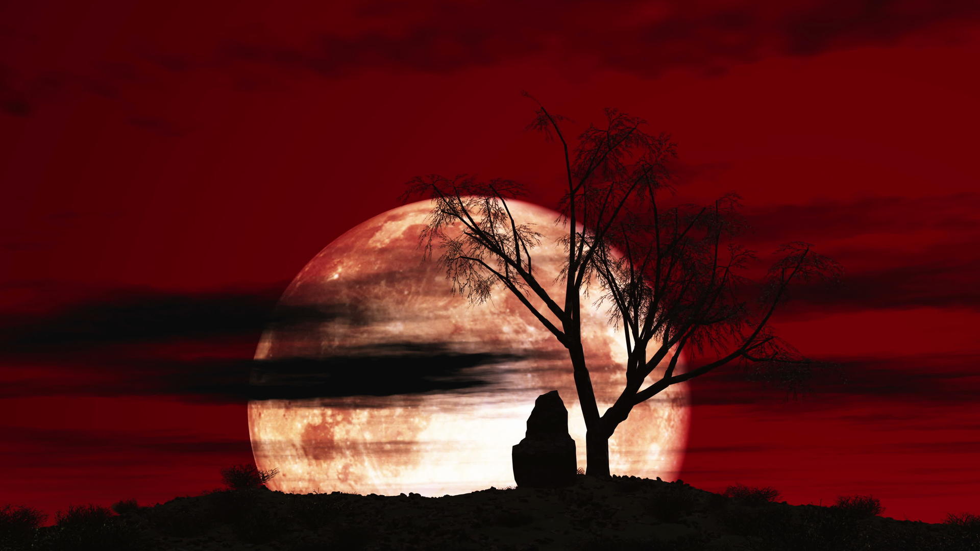 红天红月亮树4k视频的预览图