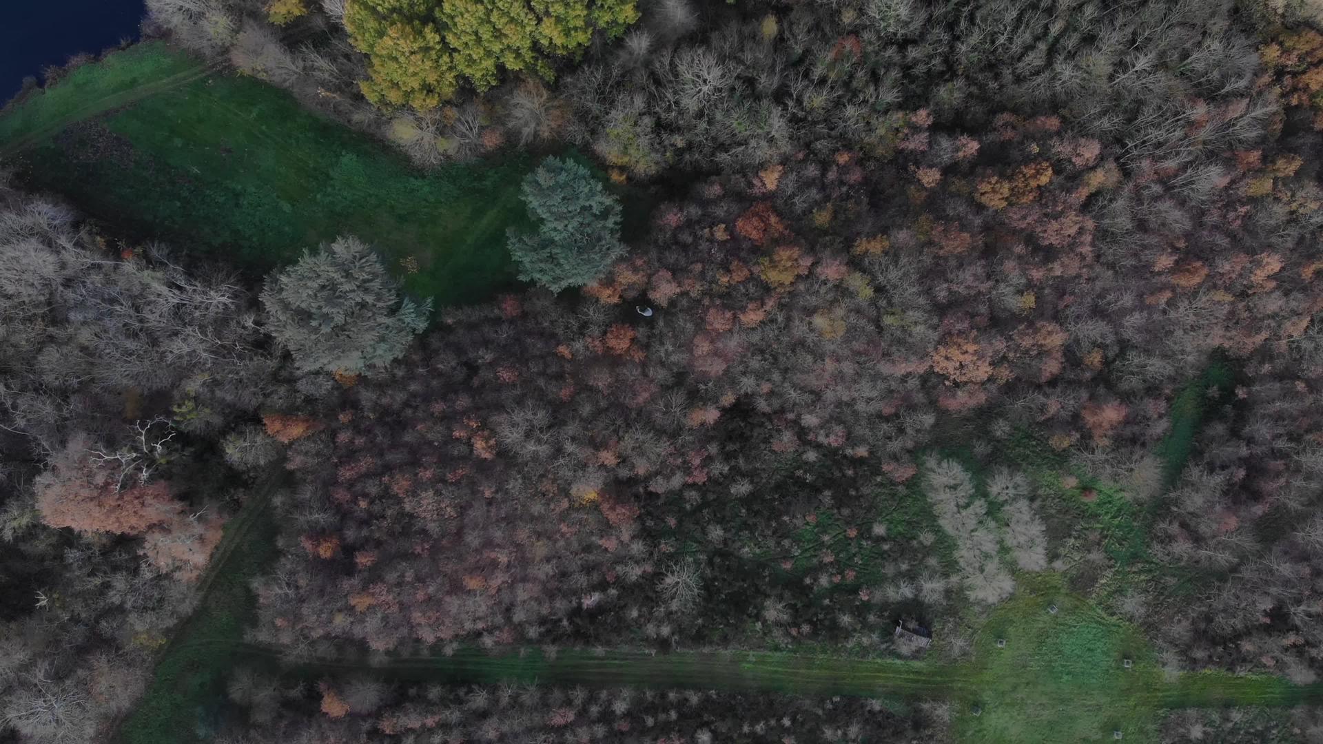 秋天的雾蒙蒙的早晨从空中俯瞰森林无人机飞过树顶44K分辨率视频的预览图