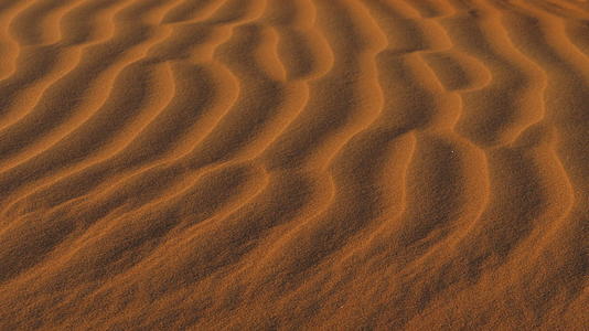沙漠中的红色沙沙视频的预览图