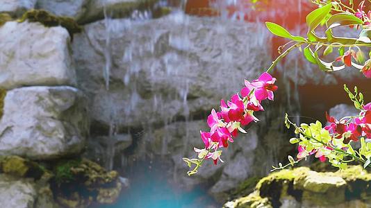 花开花黄绿色的叶子和瀑布背景模糊的早晨瀑布视频的预览图