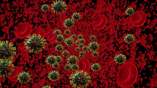 血流细胞受Covid甲型污染视频的预览图
