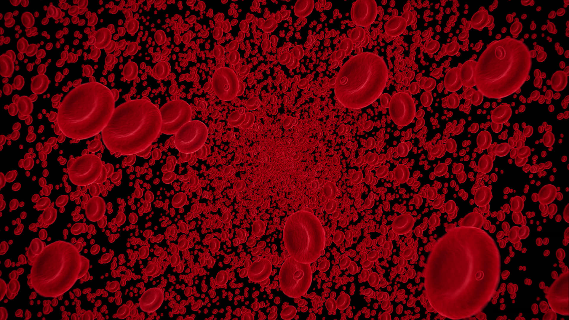 血体血管内的血流细胞阿尔法通道视频的预览图