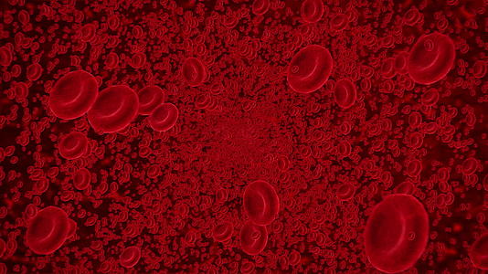 血流细胞在人体血管内视频的预览图