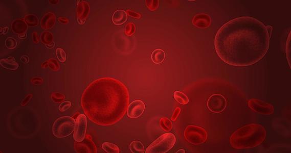 红细胞血红细胞通过循环系统流动视频的预览图