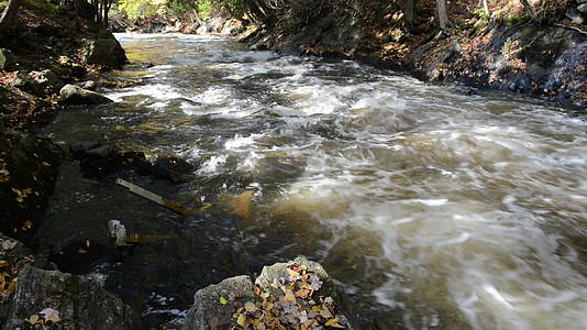 穿过阳光明媚的河床穿过一条起泡的小河流视频的预览图