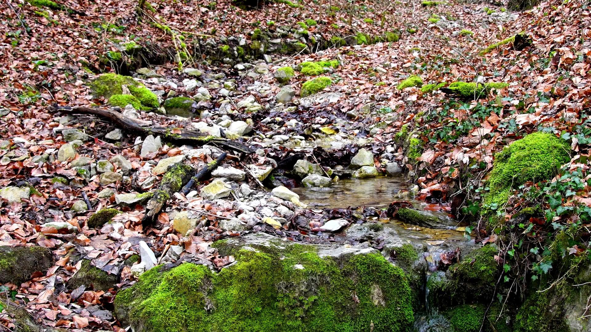 小级联冲下有长流岩石和苔藓视频的预览图