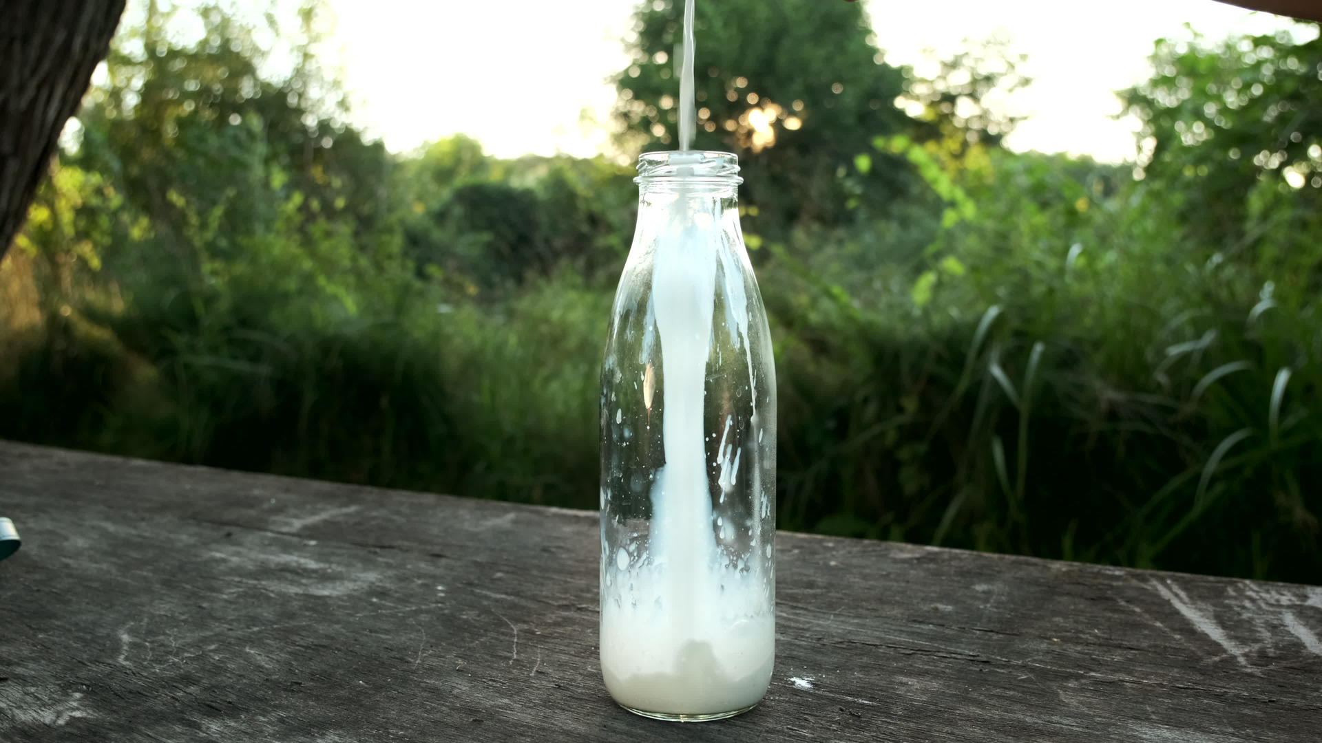 牛奶被倒入玻璃瓶中在自然背景下缓慢移动视频的预览图