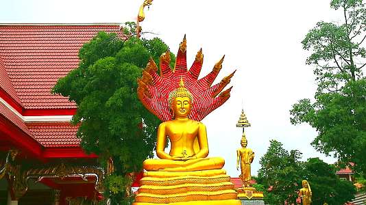 金发布丁坐在长袍上位于清伯里塔伊兰大佛寺的顶部视频的预览图