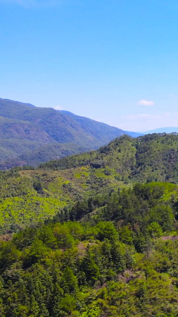 4A景区丽水东西岩山自然森林航拍集合集合视频的预览图
