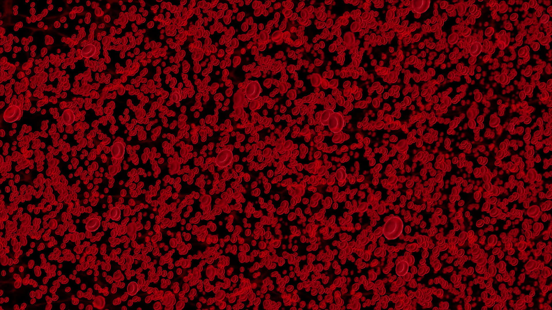 阿尔法通道接近血细胞流动视频的预览图