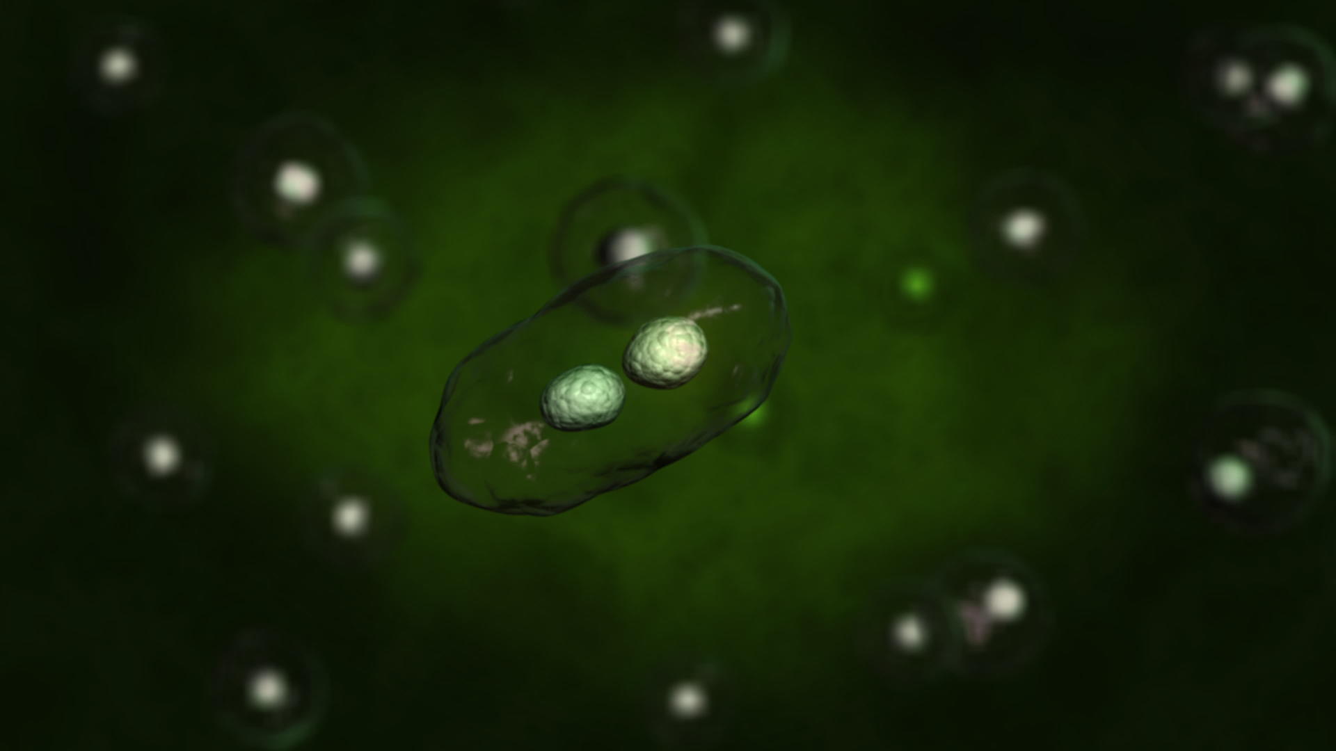 三代细胞生物学涉及生命中最小的单元体视频的预览图