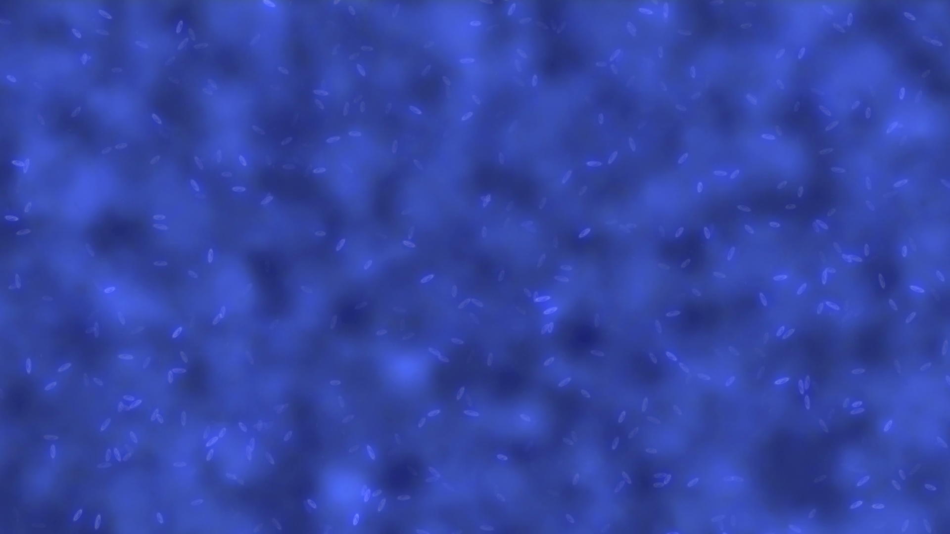 显微镜细菌运动4k视频的预览图