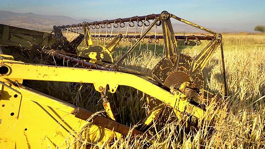 大米和小麦的收割和切割结合了大米和小麦田的秋季收获视频的预览图