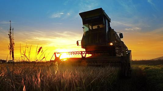 农业和收割者在日落时收获小麦作物视频的预览图