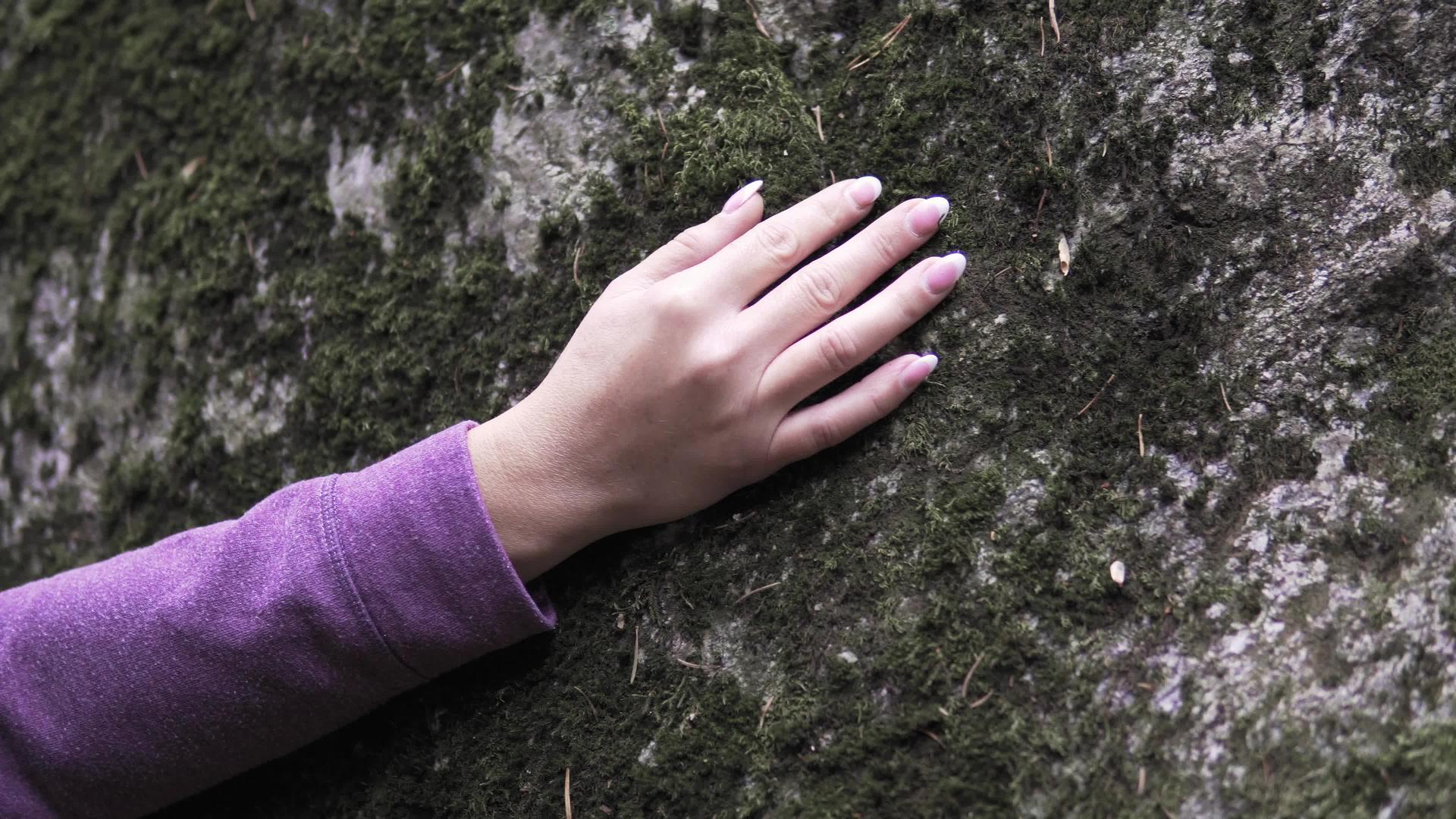 女人在森林里用苔藓双手抱着大石头女人是带电的自然能量视频的预览图