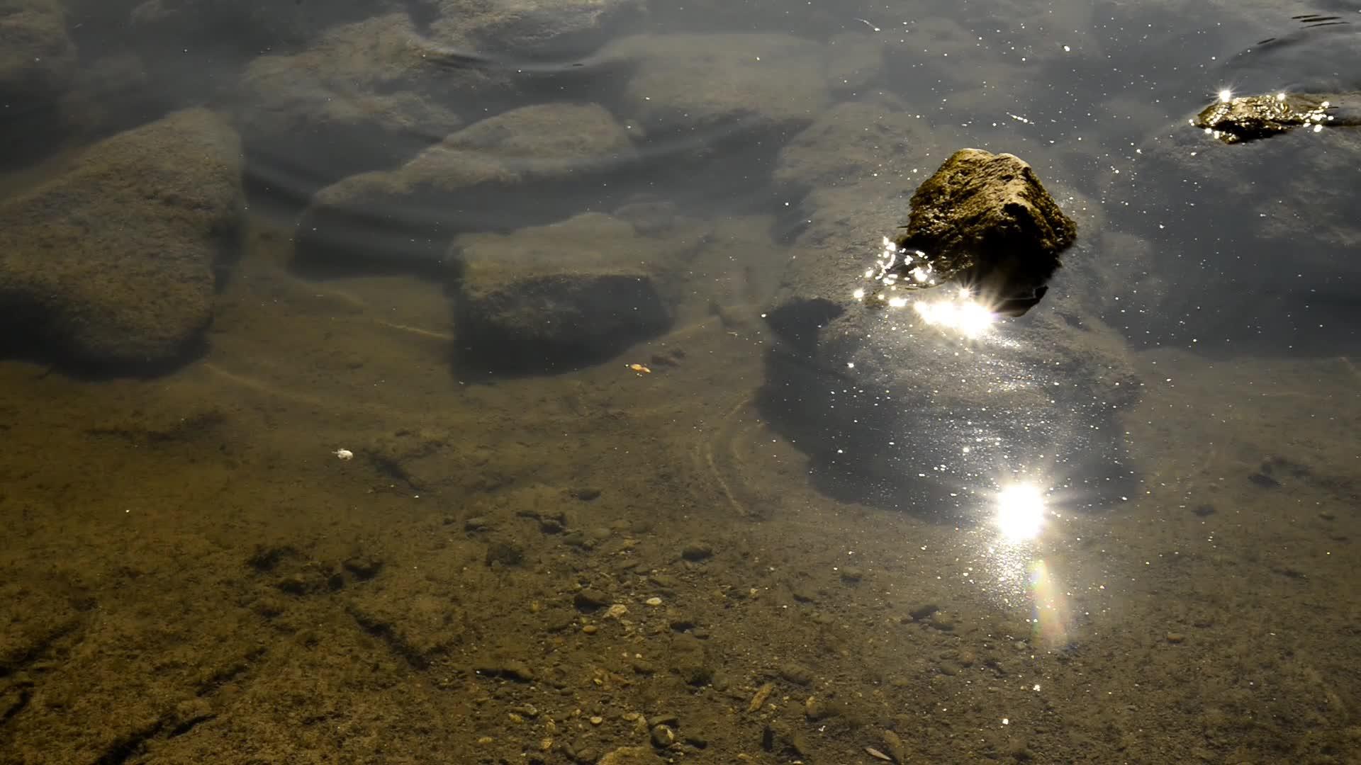在德国丹贝河岸上使用闪亮的反光石视频的预览图