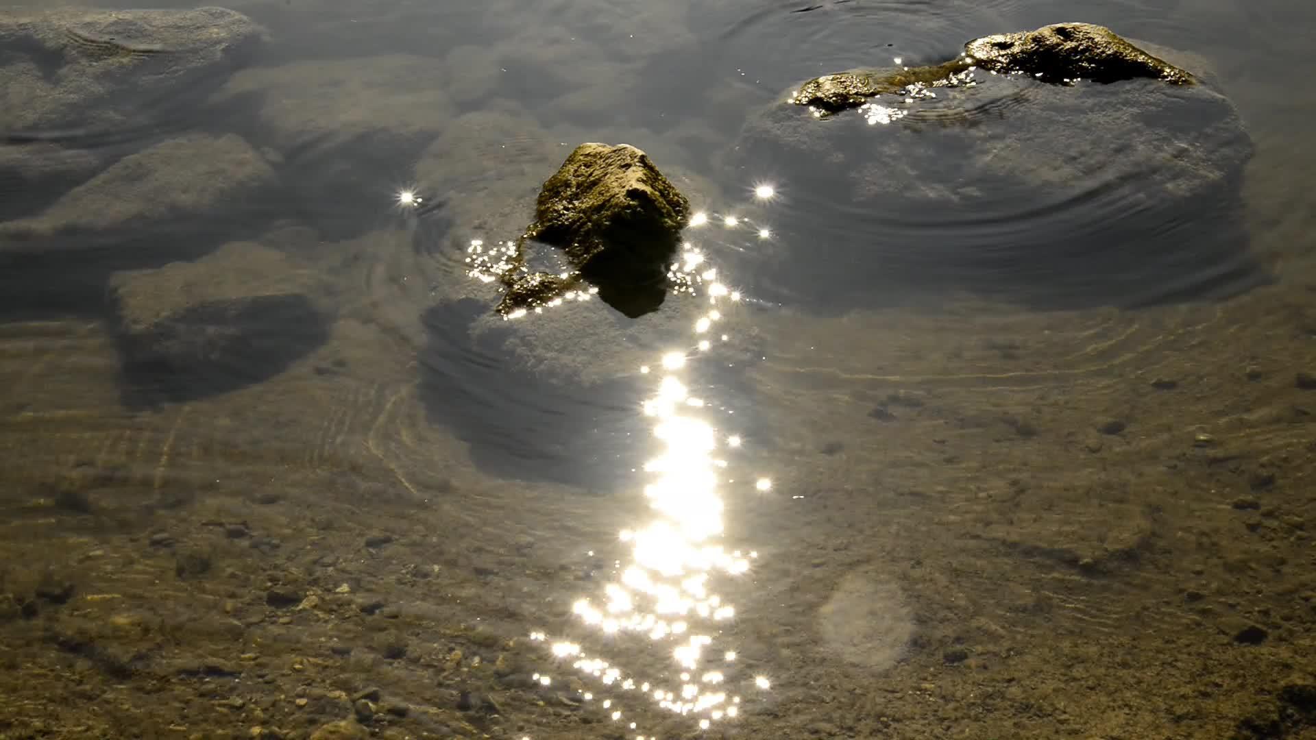 在德国丹贝河岸上使用闪亮的反光石视频的预览图