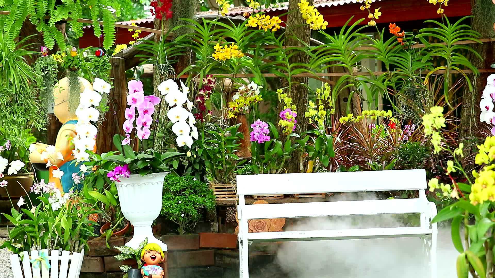 花园烟和干冰视频的预览图