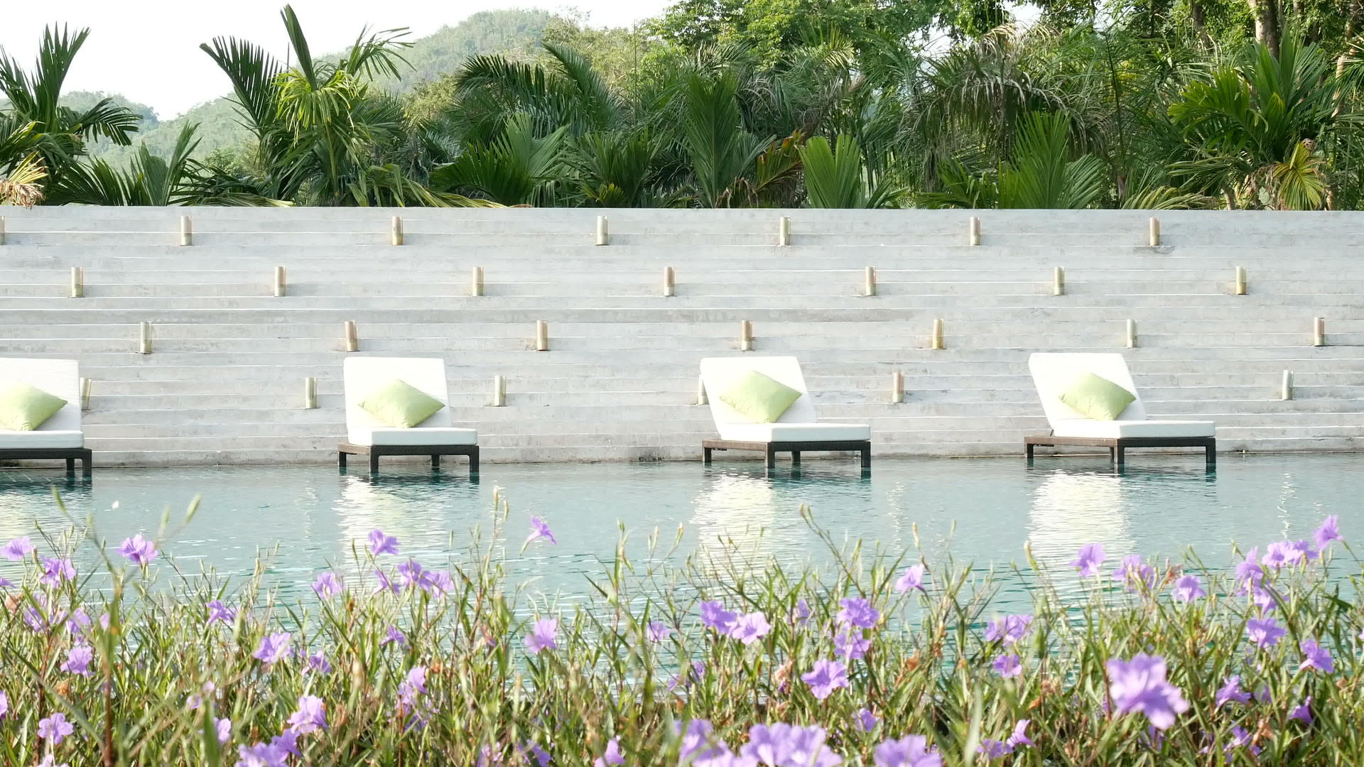 游泳池附近的无缝视频躺椅自然绿树背景前景美丽的花朵视频的预览图