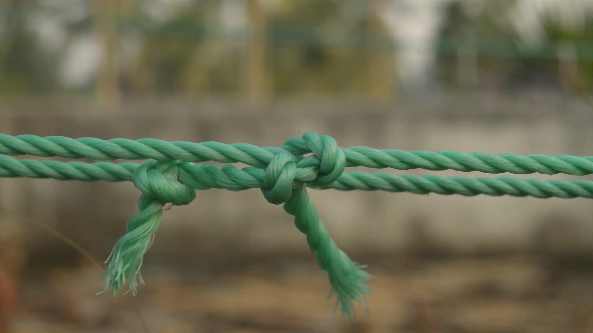 在绳结特写中间有两个结绳和背景信任力量安全视频的预览图