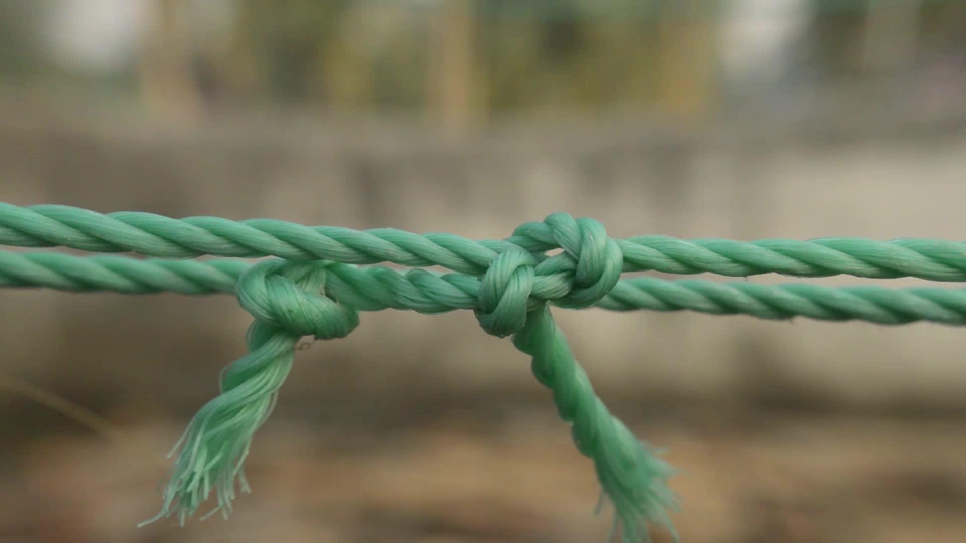 在绳结特写中间有两个结绳和背景信任力量安全视频的预览图