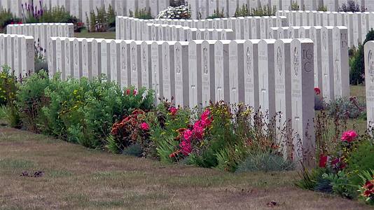 佛朗西娅州加拿大国家维米纪念馆公墓视频的预览图