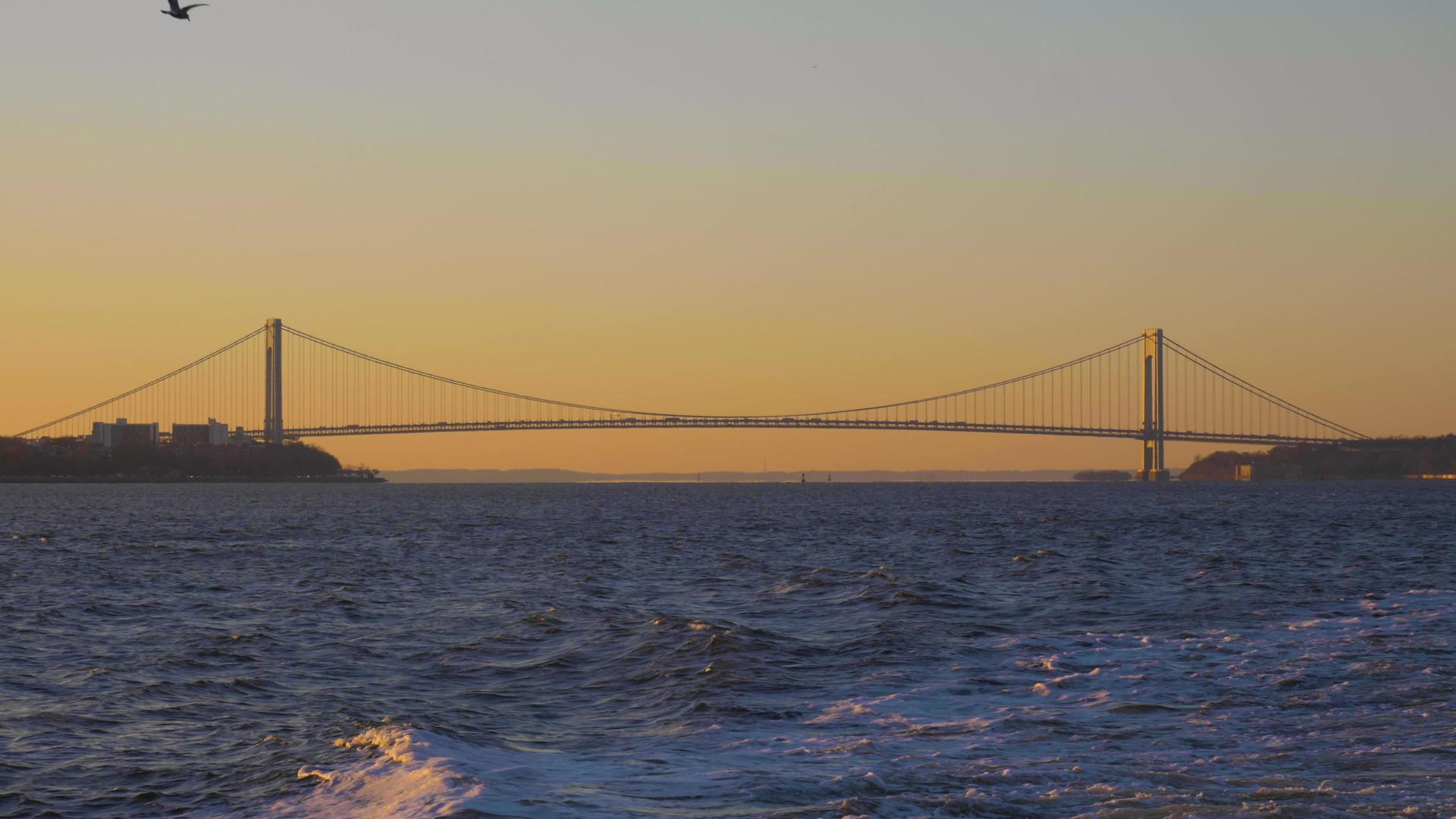 日出时空的Verrazzano桥和海鸥从船上看纽约市视频的预览图