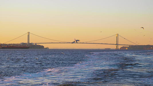 早上维拉扎诺桥和海鸥从船上检查纽约的慢动作视频的预览图
