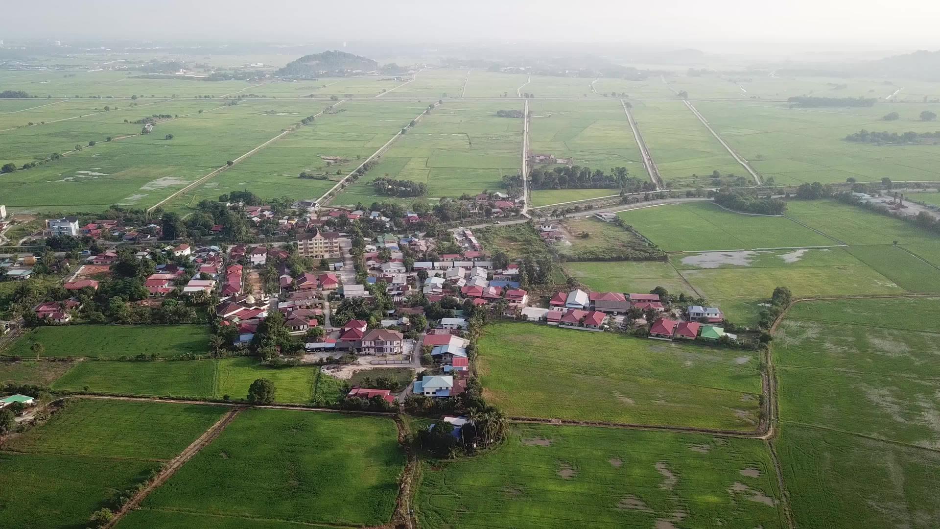 清晨绿色稻田和马雷村空中绿色稻田视频的预览图