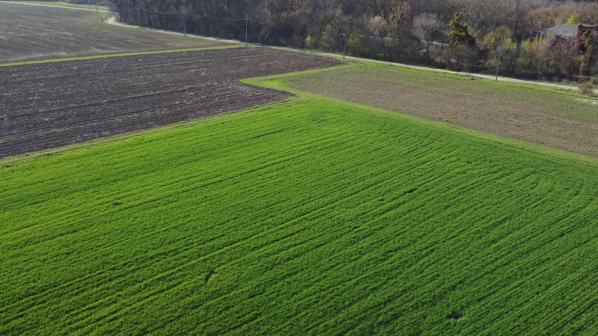 黄绿地在春天抽象自然生态季节性花岗岩背景视频的预览图
