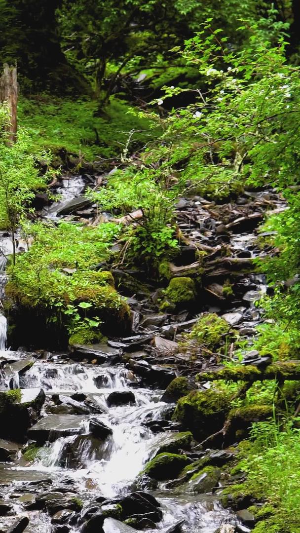 森林山间瀑布清凉流水视频的预览图