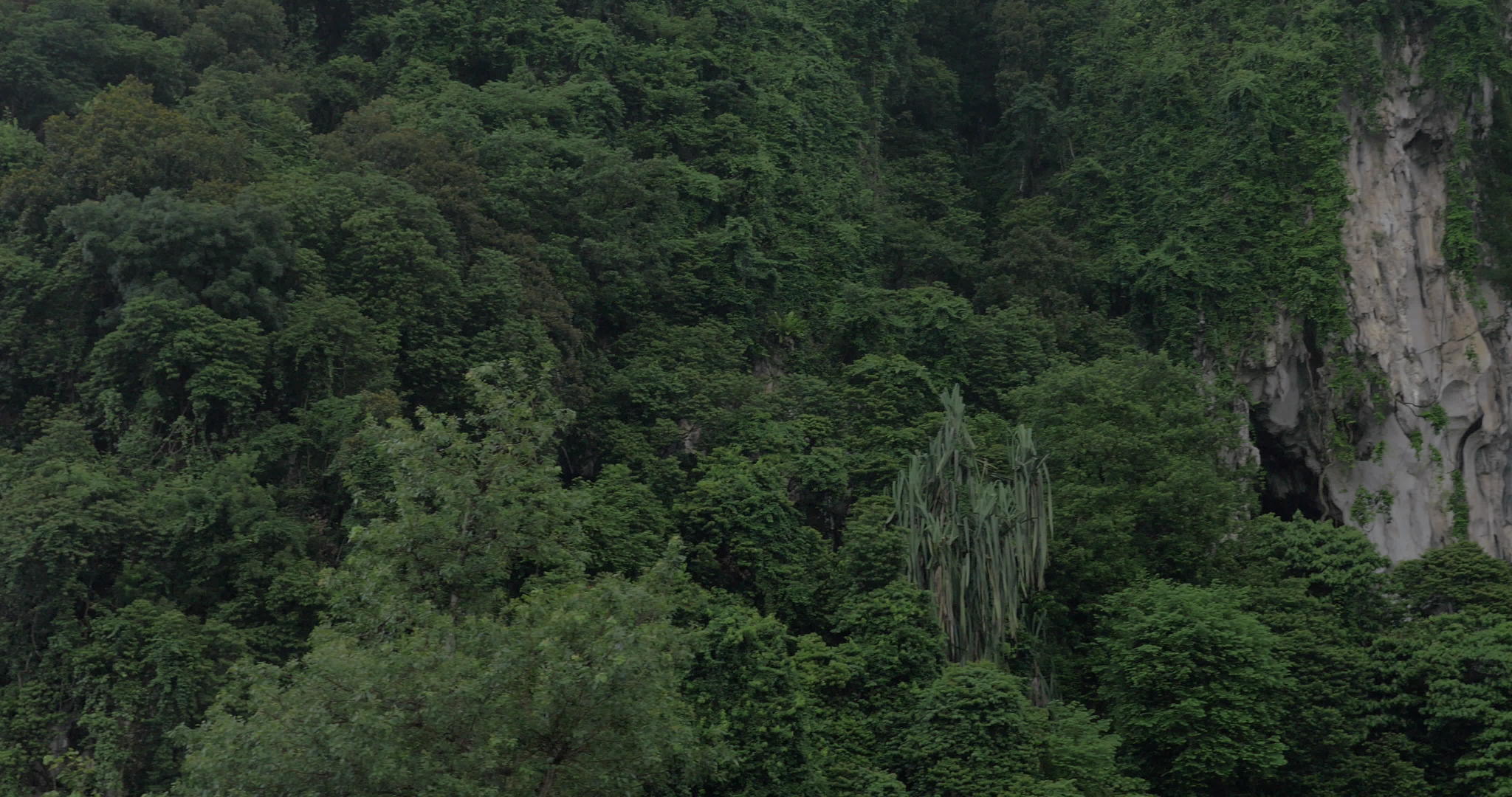 在巴图洞你可以看到绿色的山丘和木鲁干雕像视频的预览图