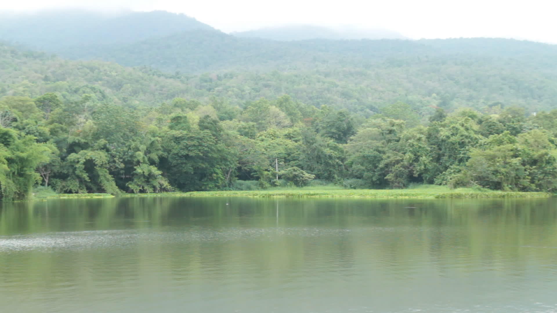绿山和湖景公园视频的预览图