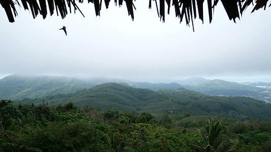 雨后有白雾的青山景观从小屋看小屋屋顶上的茅草是前面的茅草视频的预览图