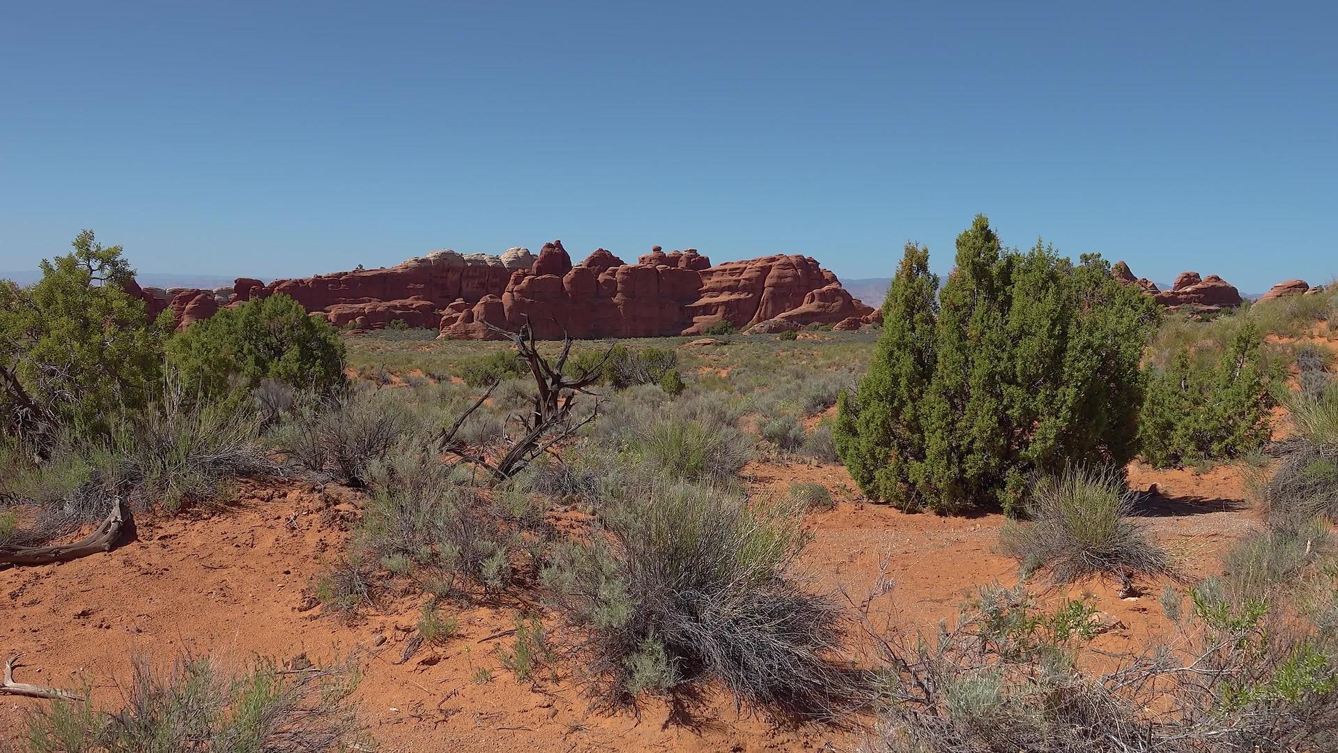 国家公园被侵蚀的地貌视频的预览图