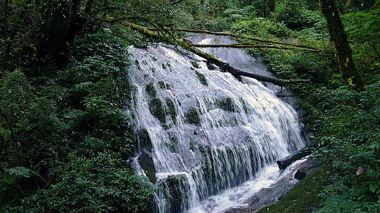 热带雨林瀑布瀑布视频的预览图