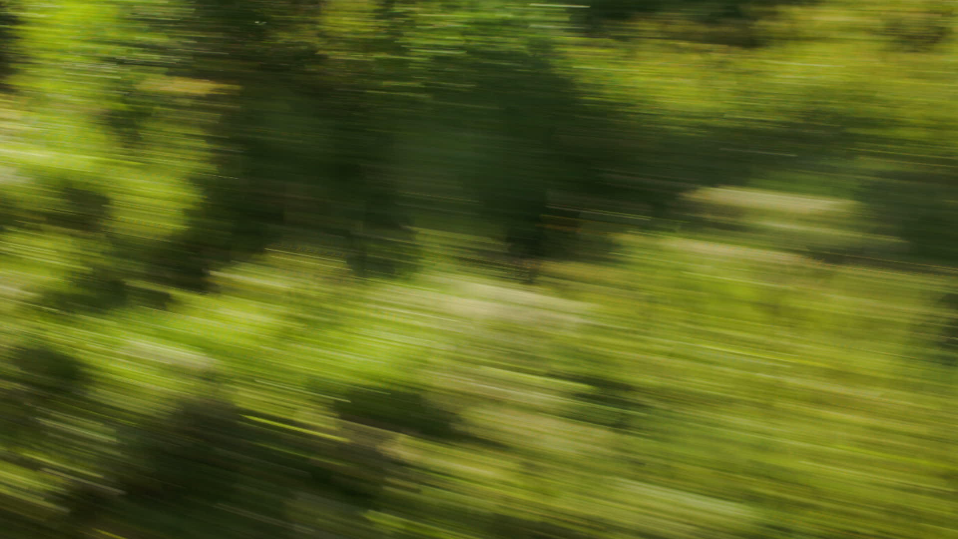 从高速列车穿过绿树的视图视频的预览图