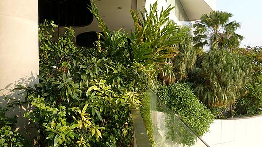 绿色环保理念的购物中心设计露台上的露天花园视频的预览图