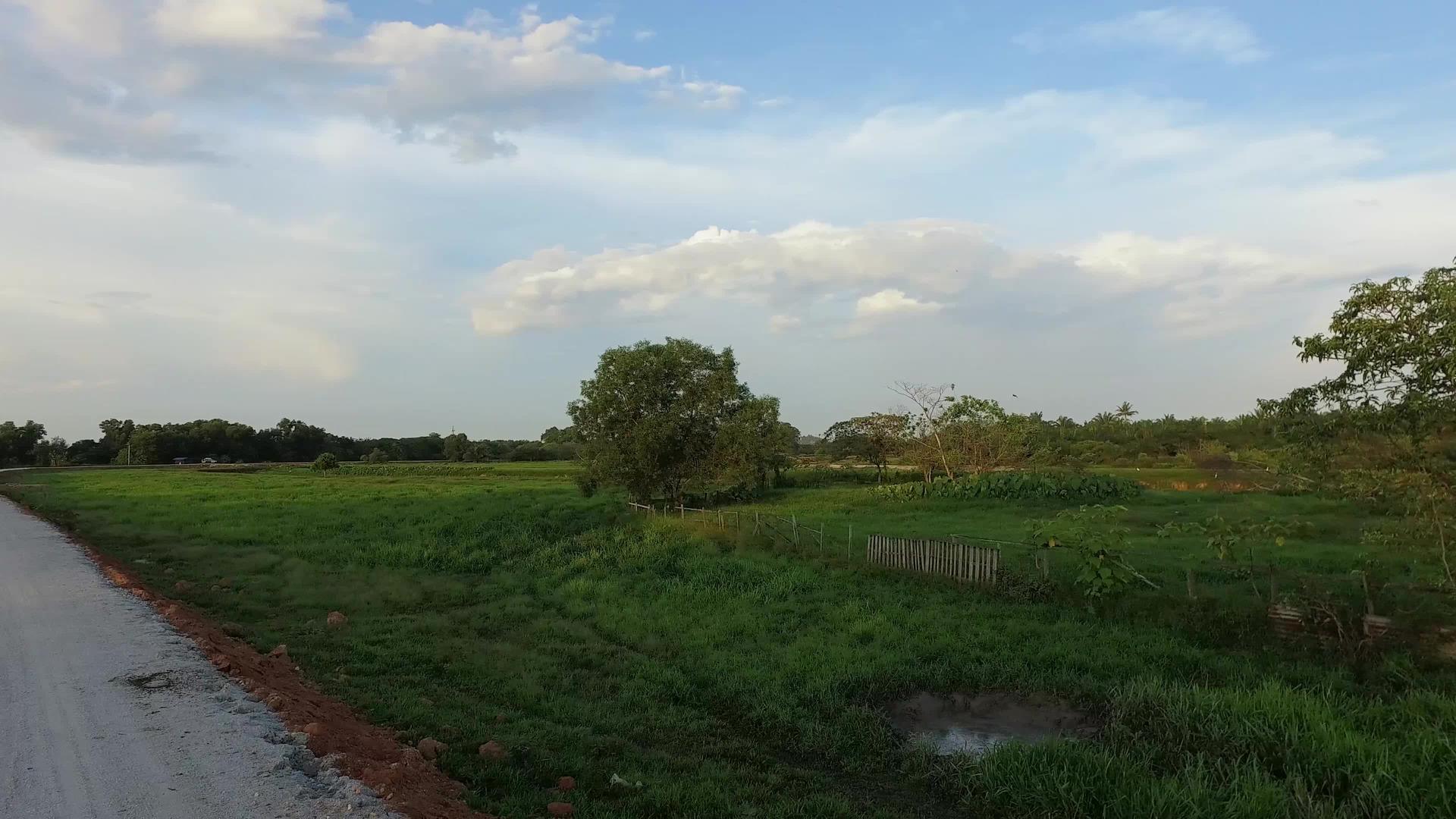 Malaysia一个小村庄的农村地区有一片绿地和一片绿地视频的预览图