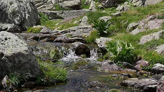 比利牛山脉的绿色小瀑布级联视频的预览图