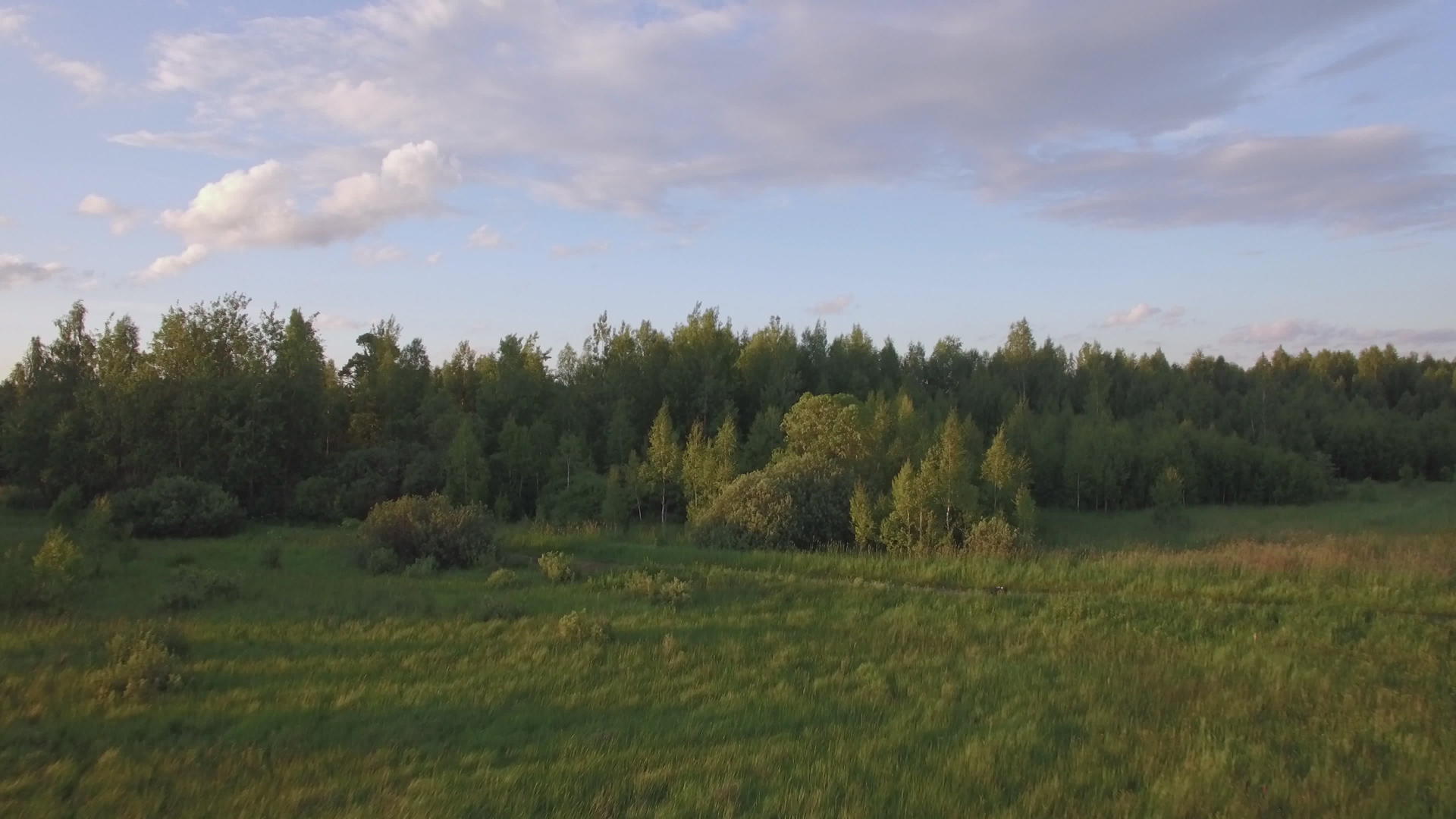 绿林对面是不同的树木、草地和阳光蓝天视频的预览图