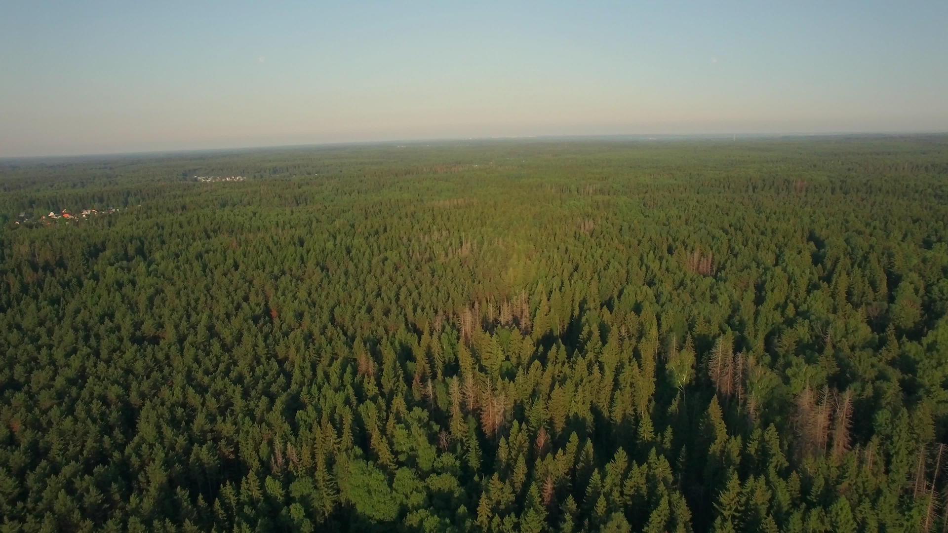飞越巨大的绿色森林俄罗斯视频的预览图