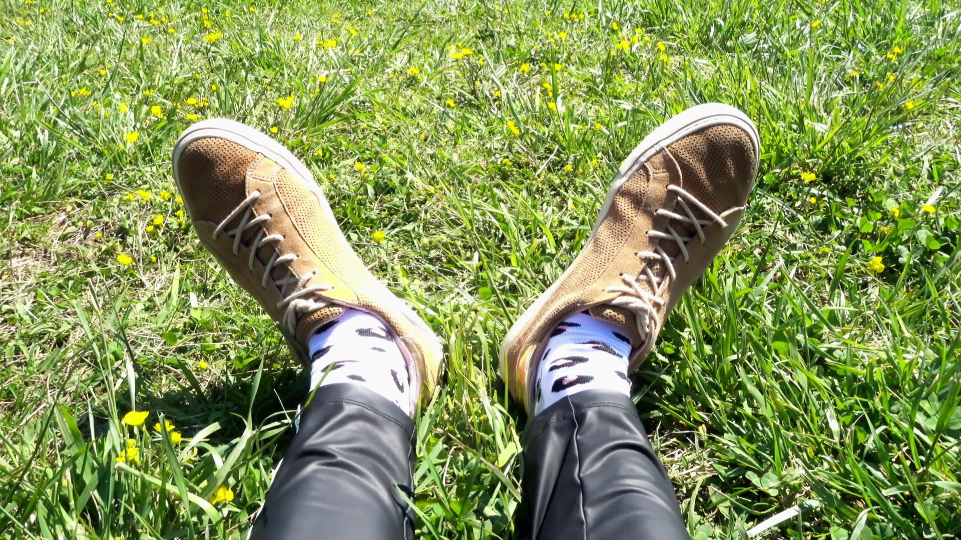 在草坪上用脚鞋视频的预览图