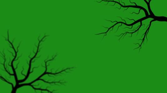 绿色背景上树枝的外观表示绿色背景的运动视频的预览图