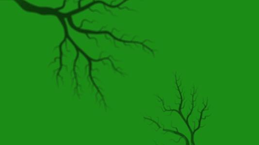 树枝在绿色背景上的形状hd视频的预览图